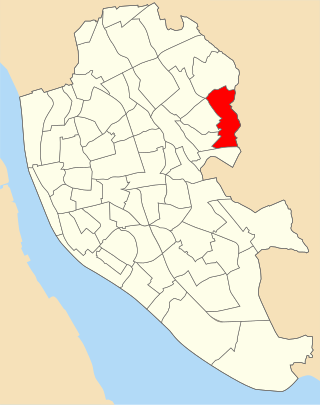 <span class="mw-page-title-main">Yew Tree (Liverpool ward)</span> Metropolitan Borough Council ward in Liverpool, England