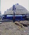 Local_roofing_of_Kumbungu_chief_palace