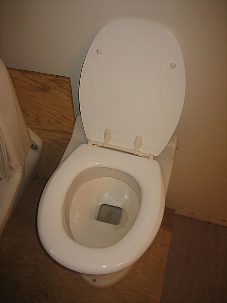 File:Low-flush toilet (3212351477).jpg