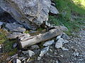 Fontaine taillée dans le bois, vallon de Laverq, commune de Méolans-Revel, Alpes-de-Haute-Provence, à environ 1700 m d'altitude