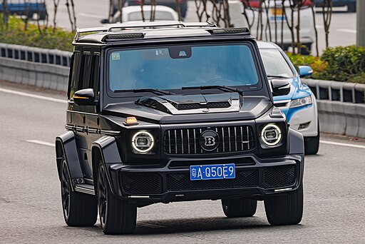 MERCEDES-BENZ G-CLASS (W463) China (2)