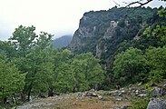 Papa-Rema-Schlucht am Olymp