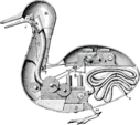 Jacques de Vaucanson: Mechanische Ente (1738)