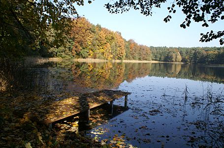A little lake near Bernau bei Berlin, Germany