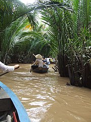 ដីសណ្តមេគង្គ