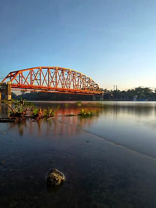 <span class="mw-page-title-main">Agusan River</span> River in Davao Region, Philippines