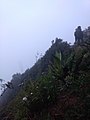 Mirador Cuatro Palos con Neblina.jpg