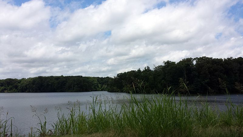 File:Mississippi River State Park 004.jpg