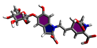 MoléculeBétanine.png