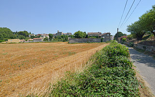 Montbazin,  Occitanie, France