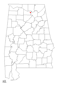 Location of Decatur, Alabama