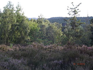 Muir of Dinnet valley in Aberdeenshire, Scotland, UK