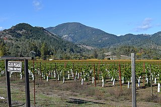 <span class="mw-page-title-main">Napa County wine</span> Appelation that designates wine in Napa County, CA
