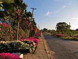 Route du mont Kenya à Mombasa.