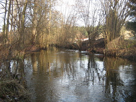 Muhre bei Teerofen 09 01 2008 035