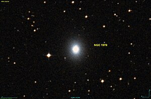 NGC 1979 DSS.jpg