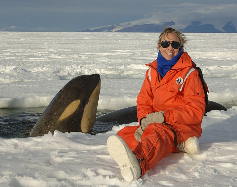 File:NOAA ecologist Lisa Ballance with killer whale.jpg