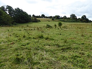 Nacton Meadows