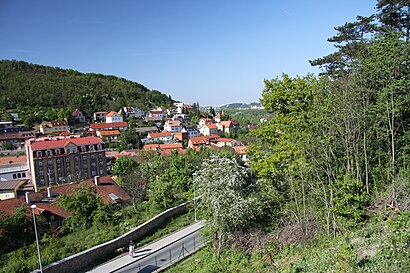 Jak do Přírodní Památka Nad Závodištěm hromadnou dopravou - O místě