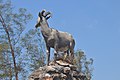 * Nomination Statue of Nilgiri Tahr at Ponmudi, Thiruvanthapuram, Kerala, India --Shishir 18:17, 18 December 2017 (UTC) * Promotion Good quality. --PumpkinSky 13:20, 25 December 2017 (UTC)