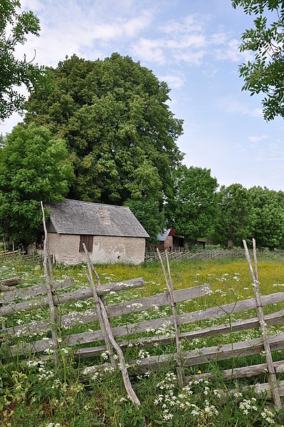 File:Norrbys museigård tun.jpg