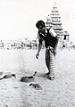 A man and a snake with the Shore Temple in the background, 1961