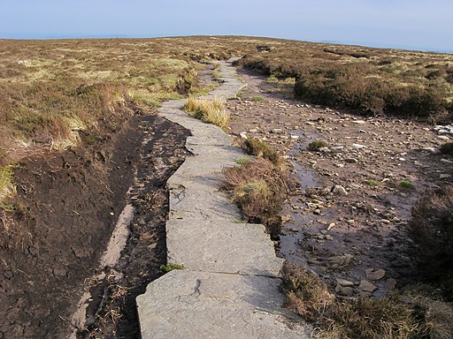 Offa's Dyke Path - geograph.org.uk - 1728423