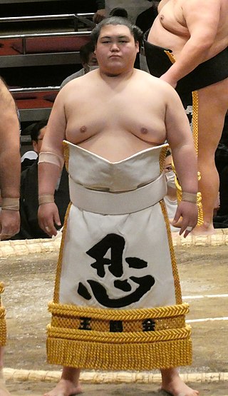 <span class="mw-page-title-main">Ōhō Kōnosuke</span> Japanese sumo wrestler