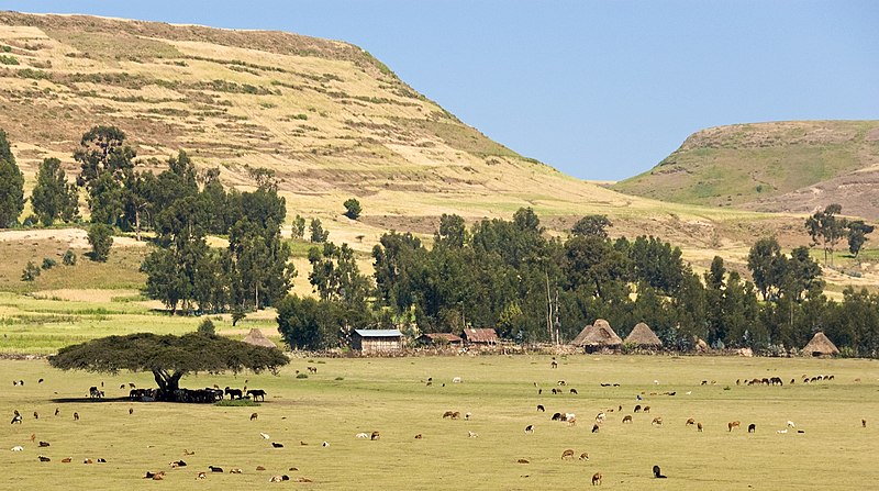 File:On The Road To Simien Mountains National Park, Ethiopia (2446794591).jpg