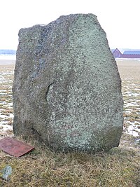 Östergötlands runinskrifter 116