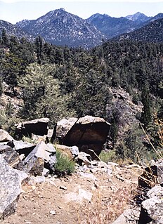 Owens Peak Wilderness Protected wilderness area in California, United States