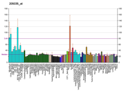 PBB GE CTDP1 205035 at fs.png 