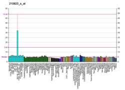 PBB GE PTPRS 210823 s, fs.png'de