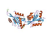 PDB 1t2l EBI.jpg