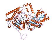 PDB 1wci EBI.jpg