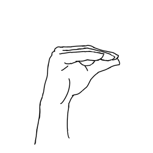 Polish Sign Language - letter E