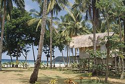 Palawan - Tropical Hut.jpg