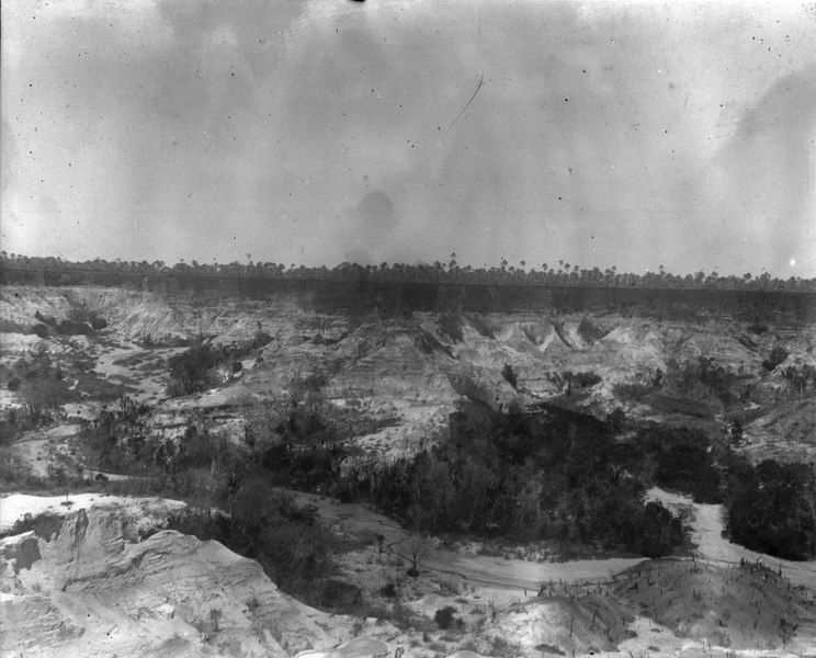 File:Palmstrand i bakgrunden. Amborovy. Madagaskar - SMVK - 022003.tif