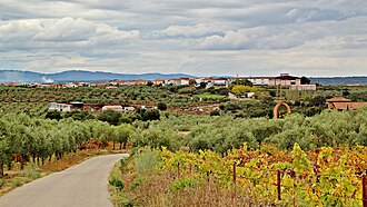 Panorámica de Ahigal.jpg