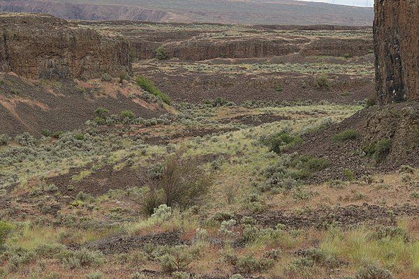 View downstream of Park Lake Side Canyon, one of the channels which fed floodwaters to Grand Coulee