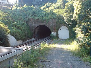 <span class="mw-page-title-main">Parnell Tunnel</span> Railway Tunnel in Auckland, New Zealand