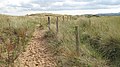 Path through the dunes from Gullane Sands - geograph.org.uk - 967733.jpg