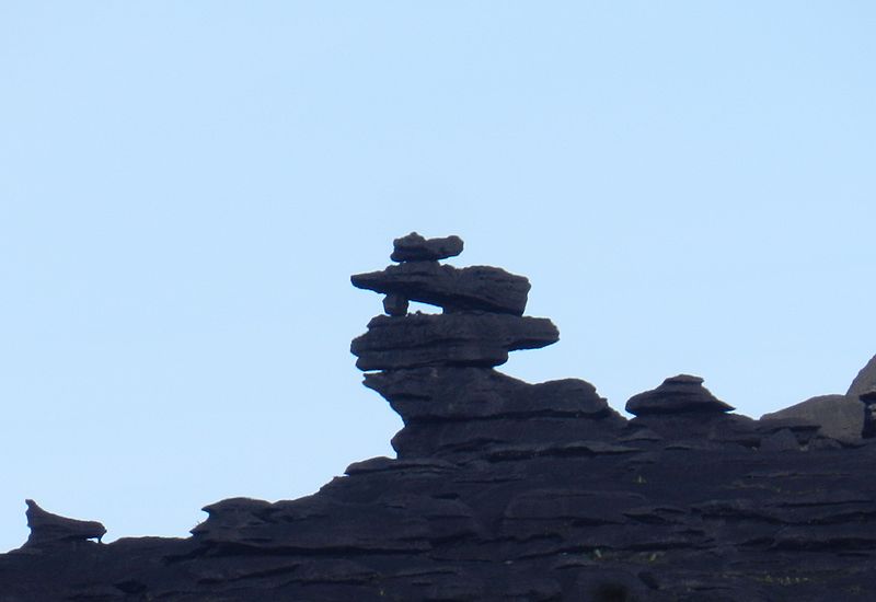 File:Pedras talhadas pelo vento do monte roraima.JPG