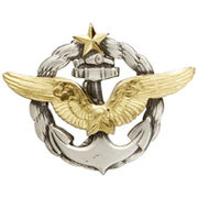 Insignia of pilots of Naval aviation