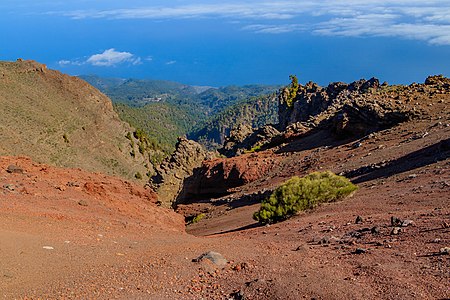 Pinar de Garafía La Palma