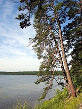 Lake Arey, Bal'zoj, Chitinskaya Oblast, Russia