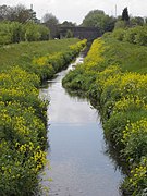 Platt Brook runs parallel to the Loop