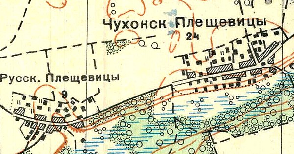 План деревни Плещевицы. 1933 год