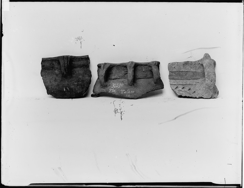 File:Pottery fragments from Florida - NARA - 523696.tif