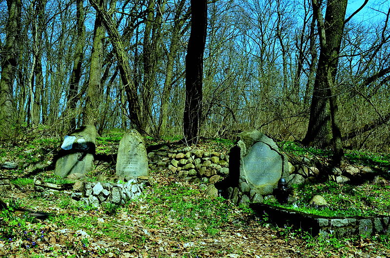 File:Poznań-Radojewo, ul. Podbiałowa 24, Park przy Pałacu w Radojewie,XIX, 1763A z 16.05.1977 (8).JPG